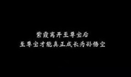 娱乐吃瓜酱伤感语录,揭开娱乐圈背后的泪与痛