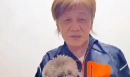 一口气看完娱乐圈吃瓜系统